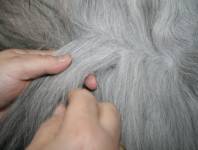 Strähnchenweise Strähnchenweise