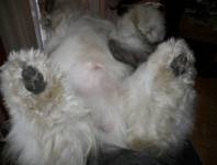 Auf dem Rücken liegend Auf dem Rücken liegend