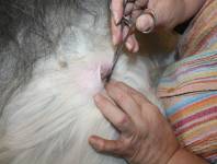 Aus der Tiefe Aus der Tiefe