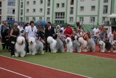 Stud Dog Zottel's My Name is Bond 