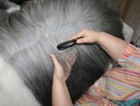 Immer erst die Spitzen Immer erst die Spitzen