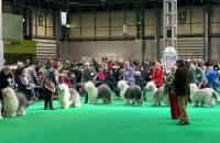 Post Graduate Bitch Class