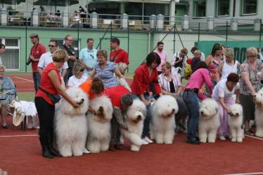 Zuchtgruppe Nobilpazzi 