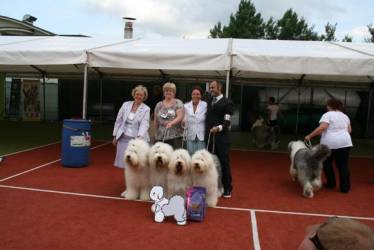 Sieger Best Kennel Aus dem Elbe-Urstromtal 