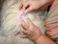 Mit den Fingern Mit den Fingern