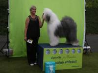 Bester in CZ gezchteter Hund